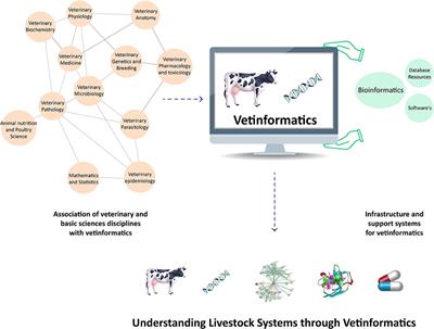 Vetinformatics from functional genomics to drug discovery: Insights into decoding complex molecular mechanisms of livestock systems in veterinary science